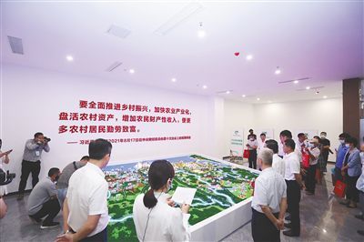 海口農村產權交易中心正式上線運營 開啟信息技術服務新篇章